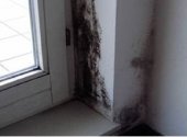 Schimmel an Fensterlaibung